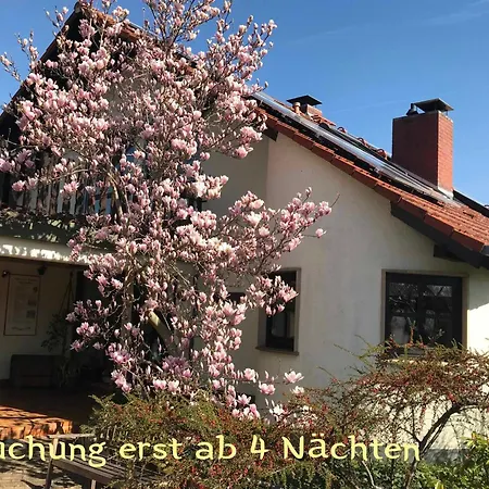 Roemerklause 아파트 Neustadt an der Weinstraße