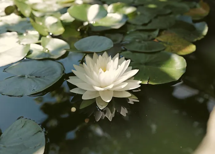 Roemerklause Apartment Neustadt an der Weinstrasse